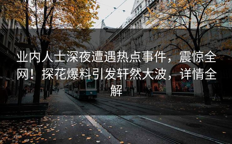 业内人士深夜遭遇热点事件，震惊全网！探花爆料引发轩然大波，详情全解