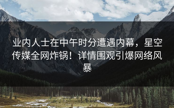 业内人士在中午时分遭遇内幕，星空传媒全网炸锅！详情围观引爆网络风暴