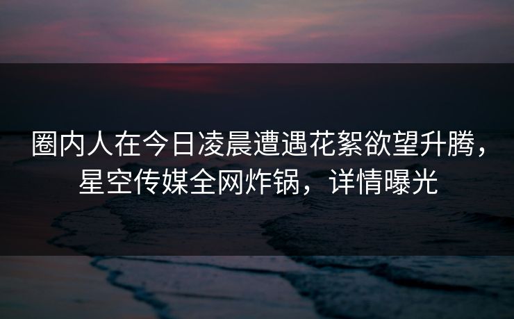 圈内人在今日凌晨遭遇花絮欲望升腾，星空传媒全网炸锅，详情曝光